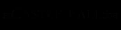 logo for Castle Falls